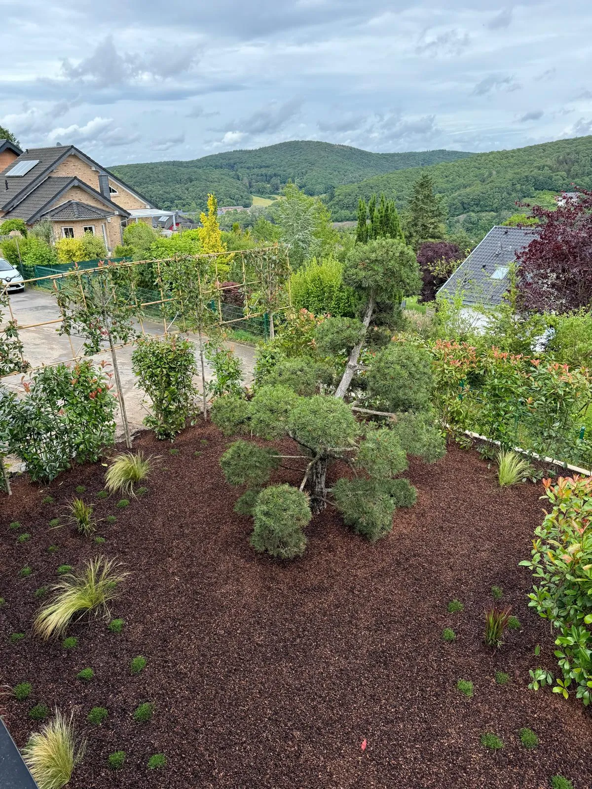 Pflanzarbeiten — D.S. Garten- und Landschaftsbau